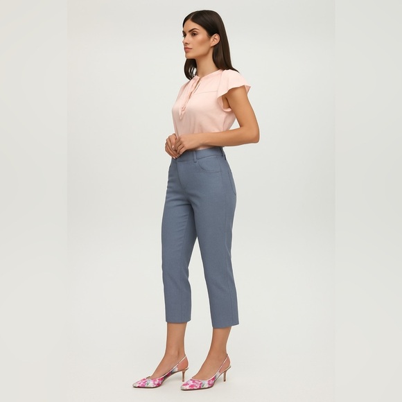 Hilary Radley Blue Striped Crop Pants | Size 12 - Picture 1 of 7